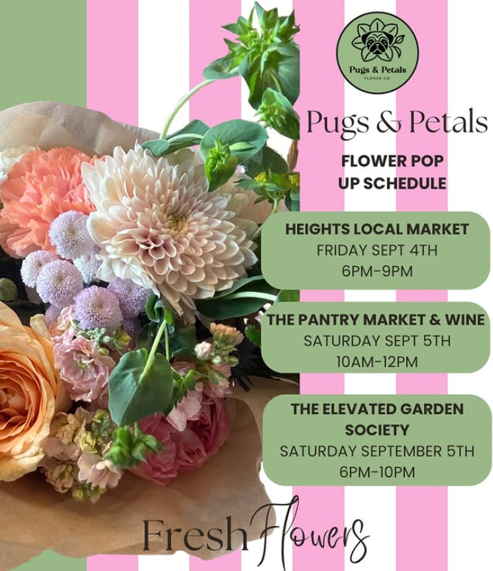 Upcoming Tampa Local Markets